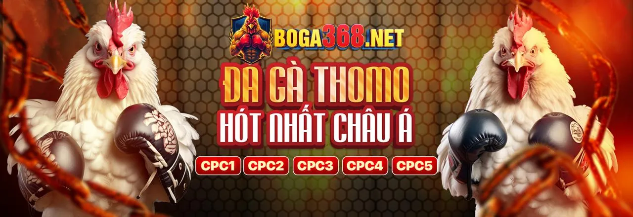 KE9 hiện đang mở - Trải nghiệm cá cược đỉnh cao